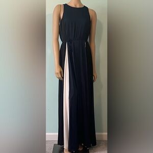 Banana Republic Factory Navy and Cream Maxi Dress